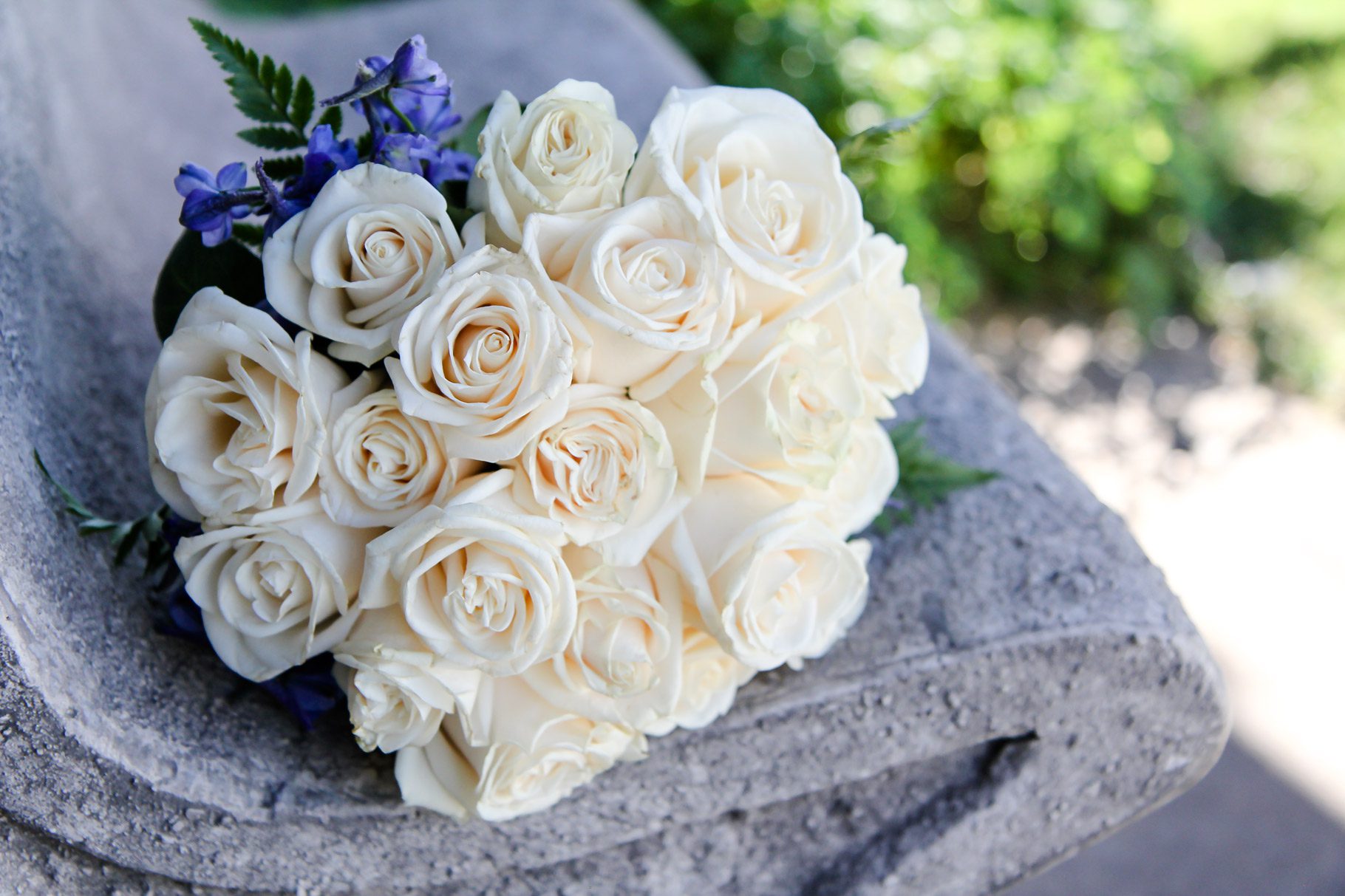 Detail image taken by wedding & quinceanera photographer Gina Ciaccio of a brides bouquet of white roses and lavender
