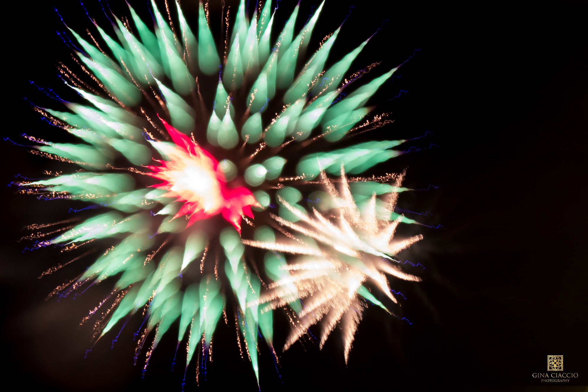 Green Fireworks that look like flowers by El Paso photographer Gina Ciaccio