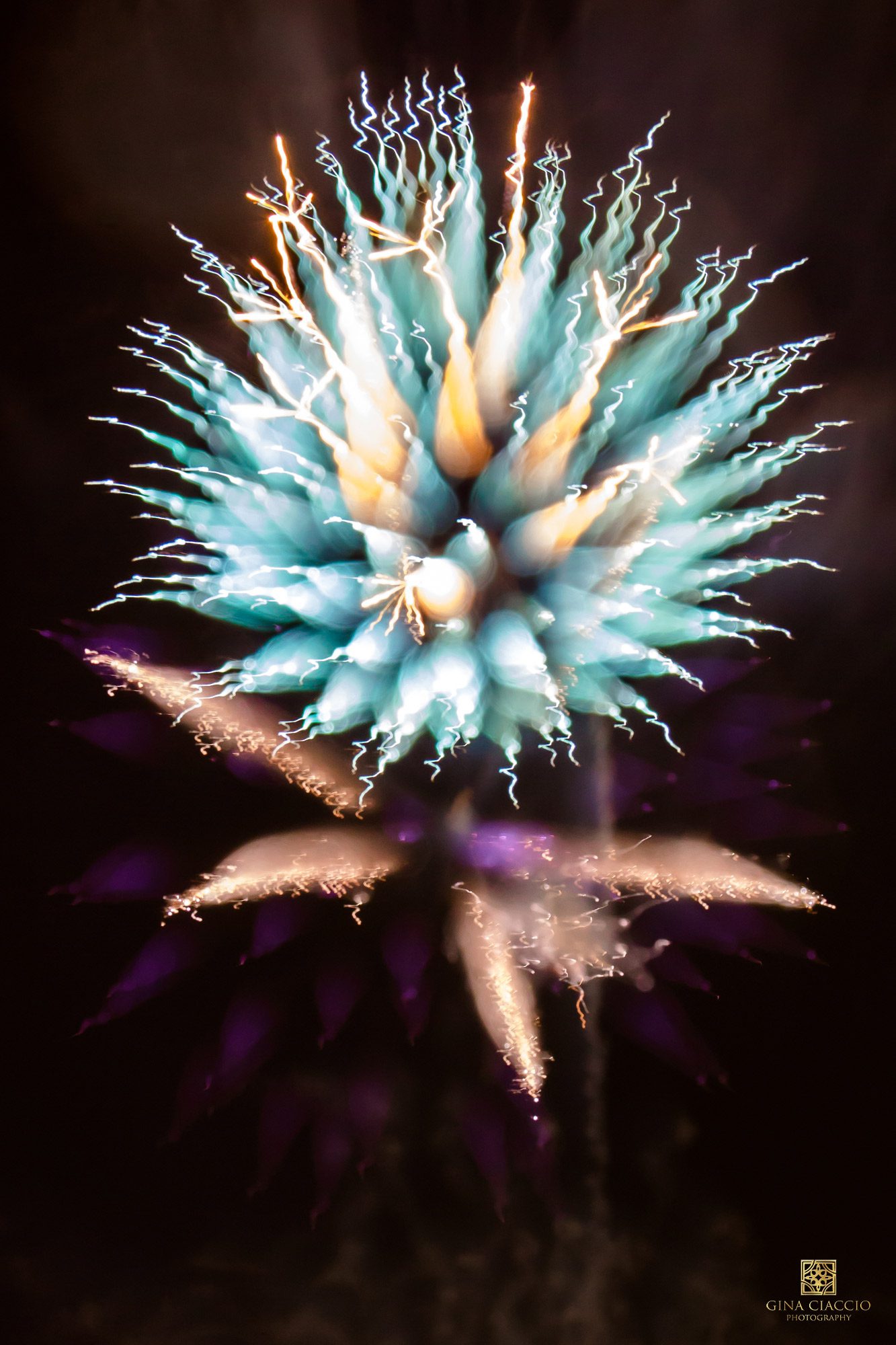 Mint green fireworks that look like flowers by Gina Ciaccio Photography