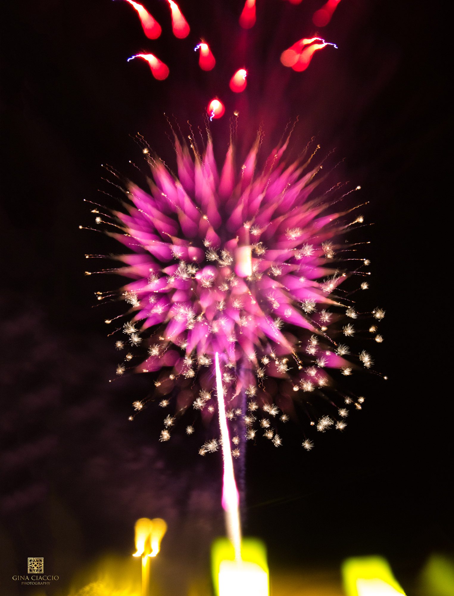 Pretty pink fireworks that look like flowers by El Paso photographer Gina Ciaccio